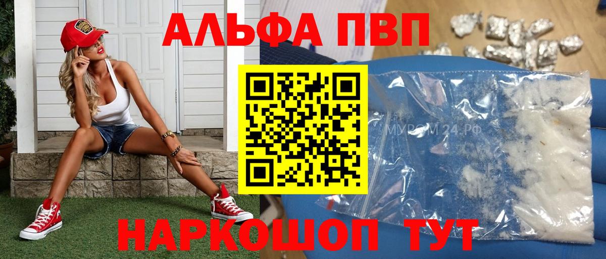 A-PVP крисы CK  A-PVP  Вход с VPN  Великий Устюг  Альфа ПВП СК КРИС 