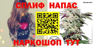ECSTASY Балашиха