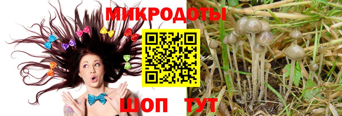 Галлюциногенные грибы ЛСД  Галлюциногенные грибы MAGIC MUSHROOMS  купить наркотики сайты  Вход с VPN  Великий Устюг 