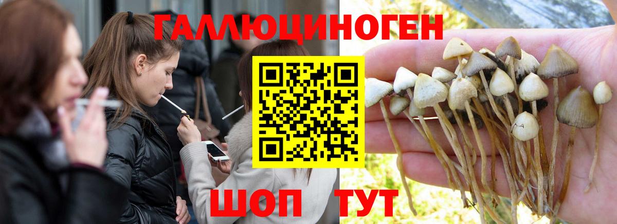 Псилоцибиновые грибы MAGIC MUSHROOMS Великий Устюг