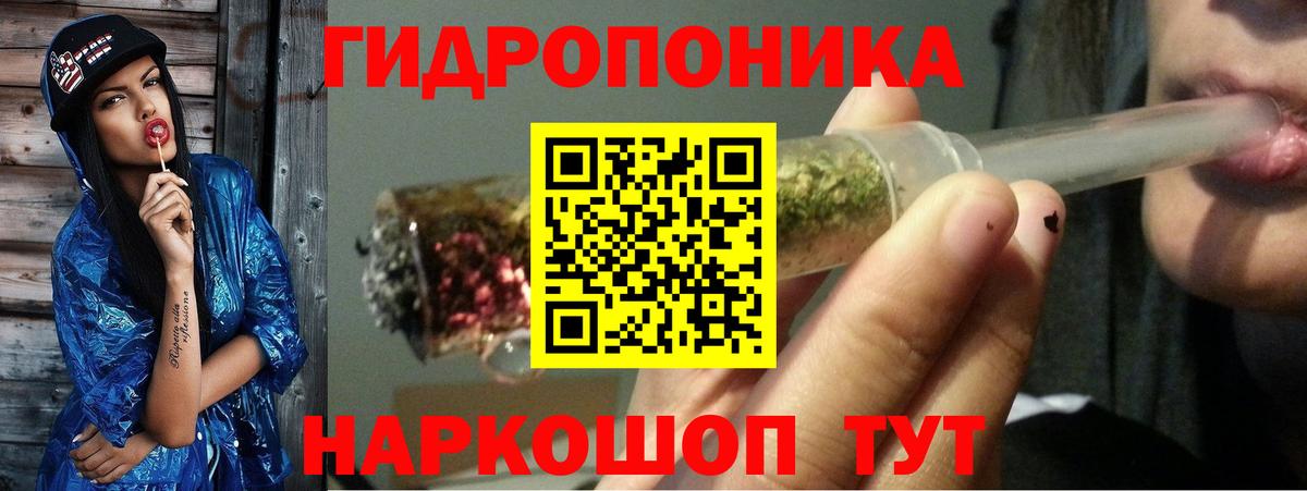 Каннабис Amnesia  Бошки Шишки планчик  Великий Устюг  Конопля конопля  Вход с VPN 